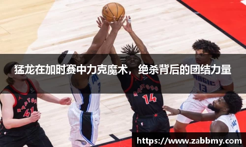 jn江南·(中国区)体育平台