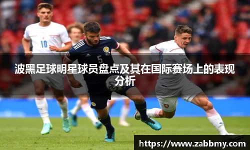 波黑足球明星球员盘点及其在国际赛场上的表现分析